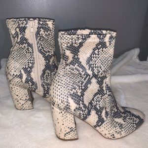Steve Madden snakeskin bootie